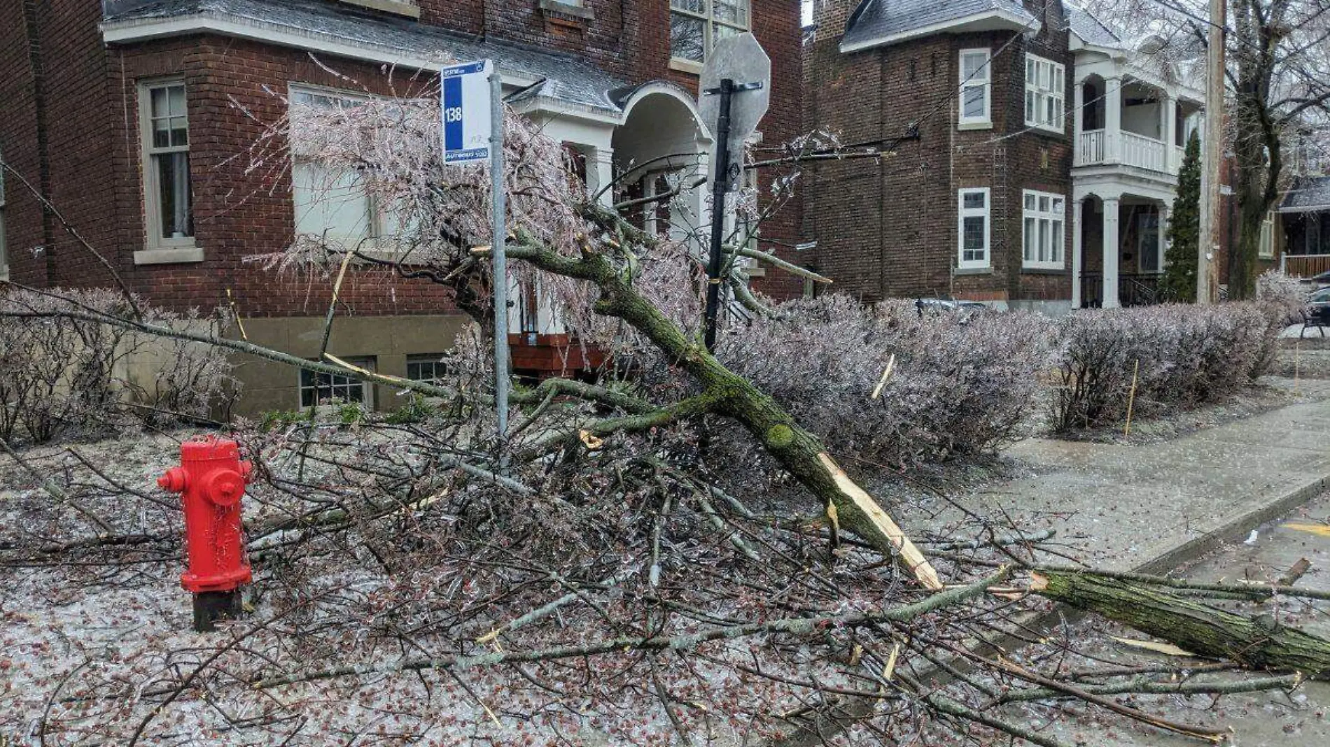 Tormenta de nieve deja sin electricidad a más de un millón de canadienses